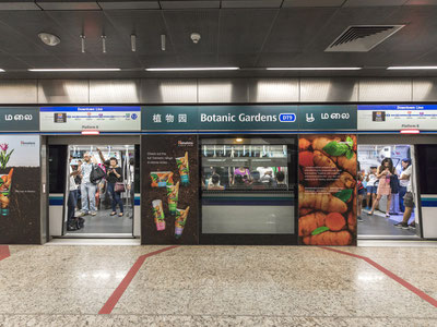 DTL - BOTANIC GARDENS MRT