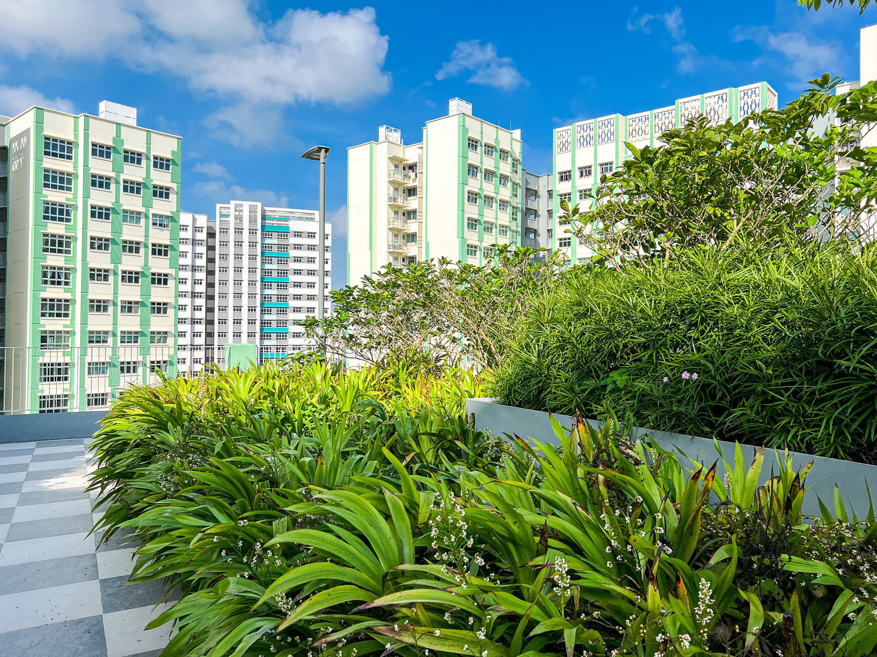 image of HDB TAMPINES GREENFOILAGE