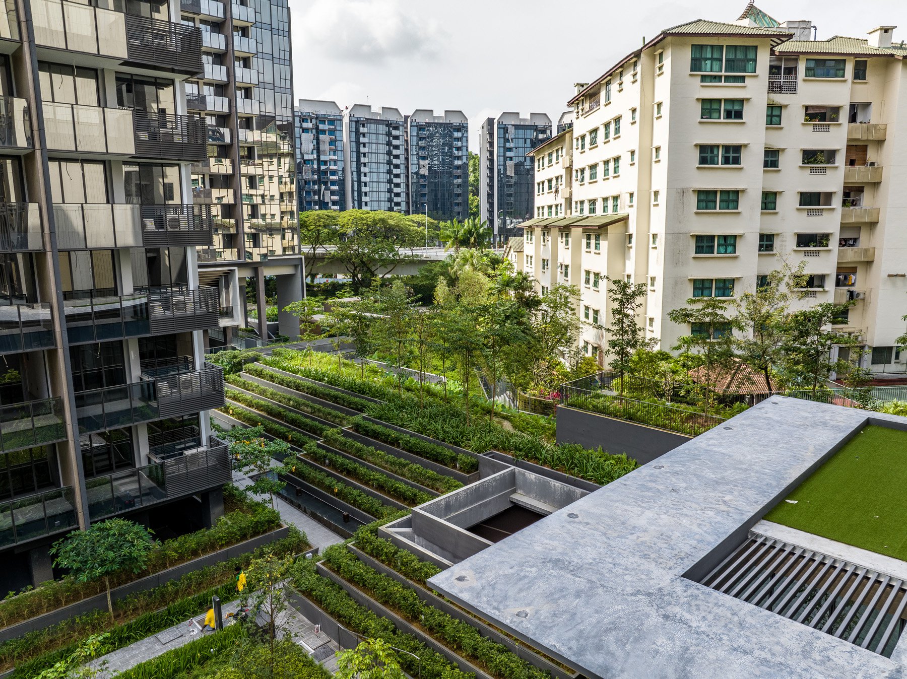 image of LEEDON GREEN