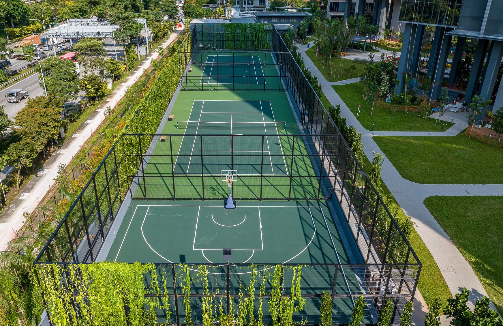 image of PARC CLEMATIS