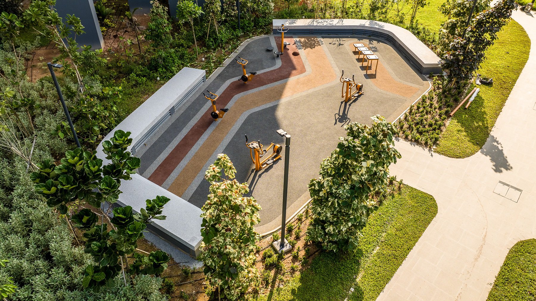 image of PARC CLEMATIS