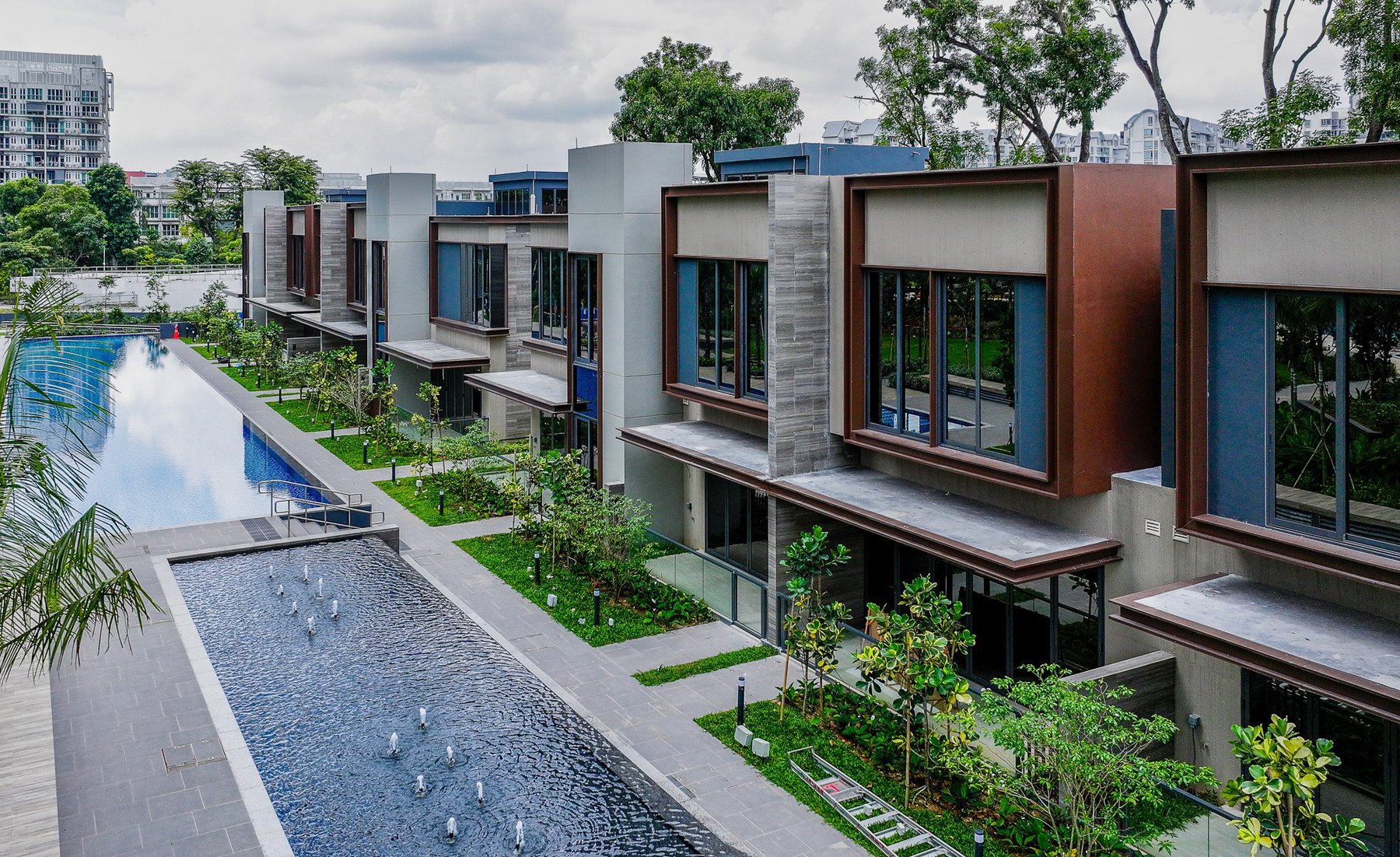 image of PARC CLEMATIS