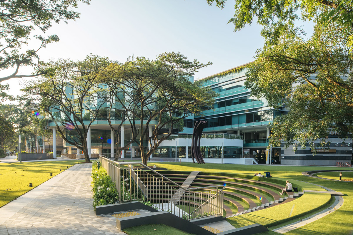 image of SMU CAMPUS GREEN